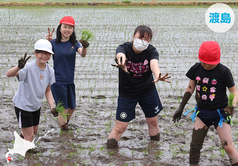 木古内町（きこないちょう）道南を未来へつなぐハブタウン子育てから移住促進までサポート体制が万全