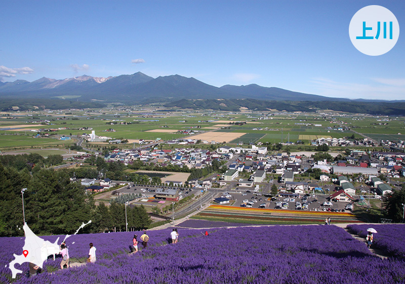 中富良野町（なかふらのちょう）美しい自然の中での暮らしを実現子育て支援も充実の中富良野町