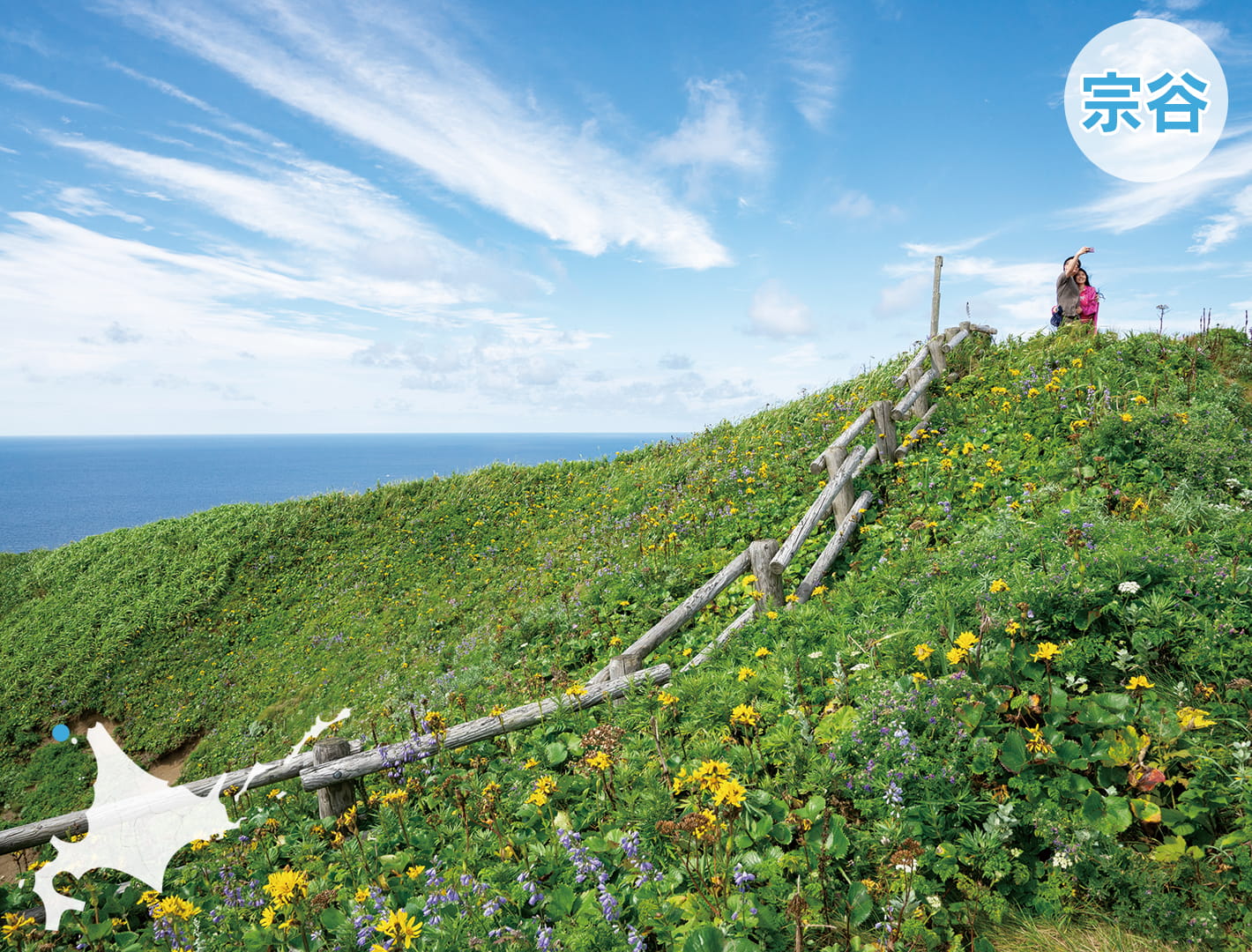 礼文町（れぶんちょう）北端の離島・礼文の特別な環境で”やりがい”を実感する暮らし方